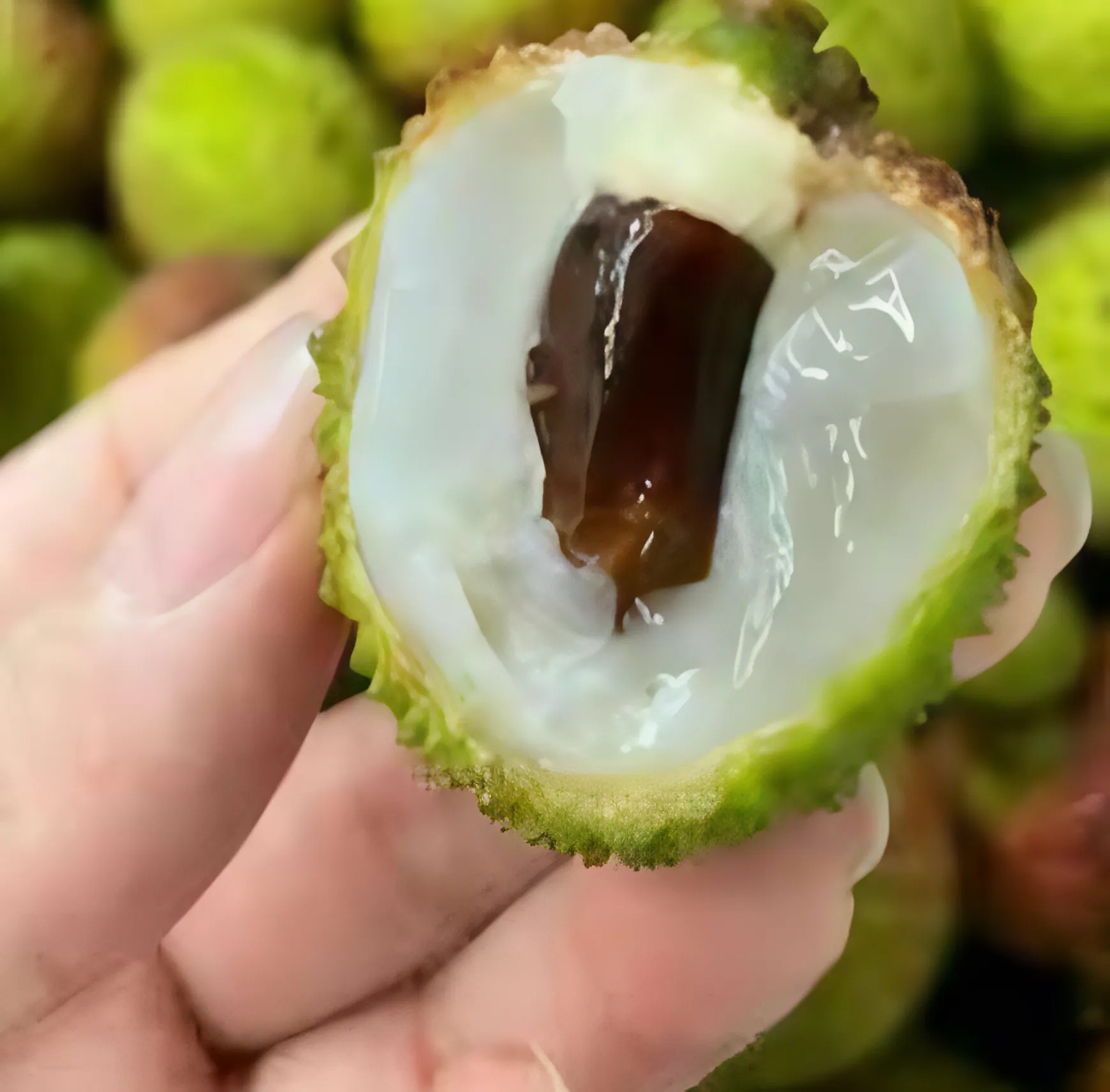 Litchi – owoc stosowany w produktach do pielęgnacji