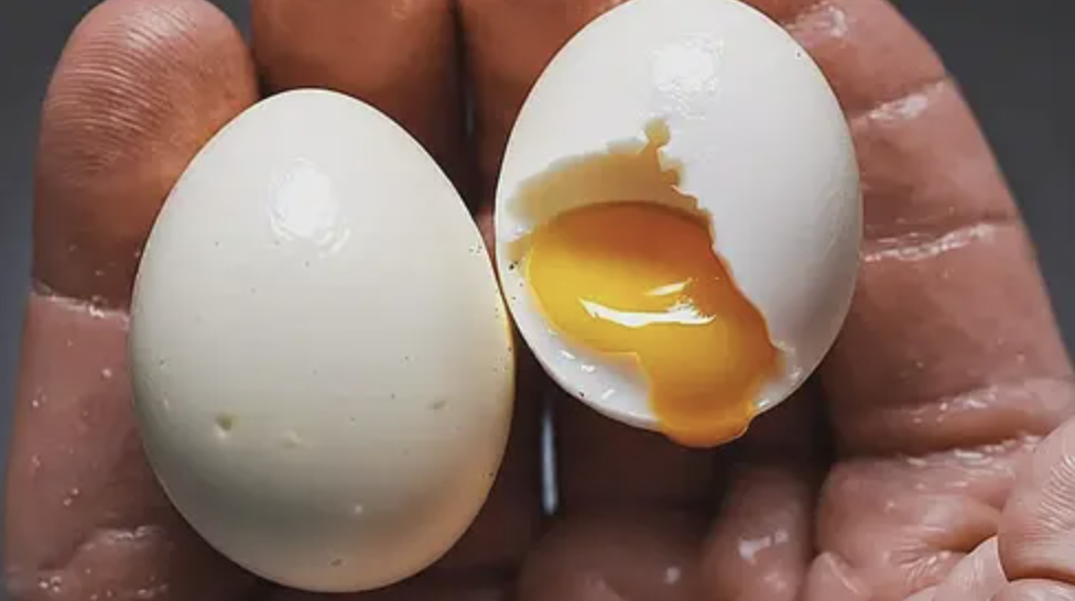 Białko jaja – czysty komponent funkcjonalny